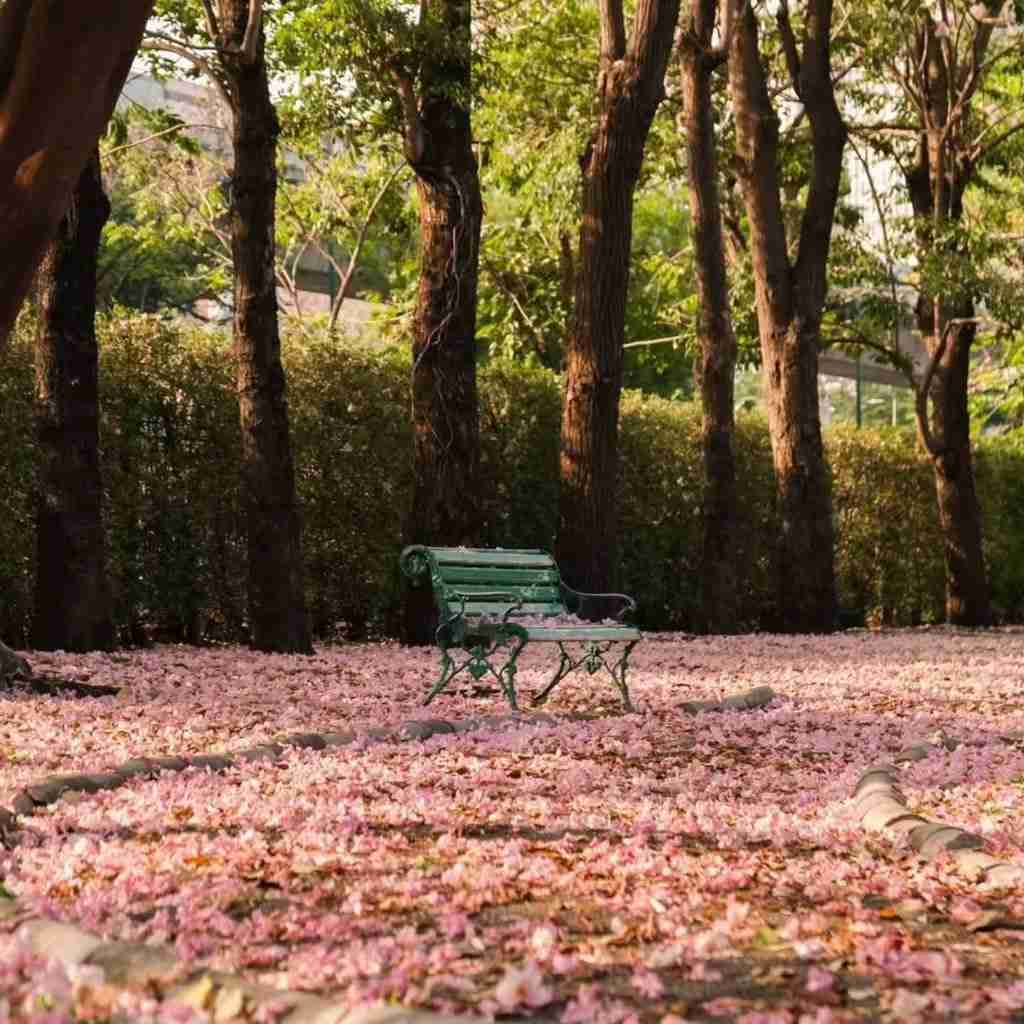 آهنگ جدید  خارجی اسب داخل نیسان ایران